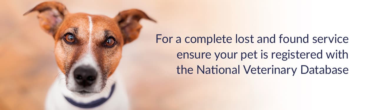For a complete lost and found service ensure your pet is registered with the National Veterinary Database
